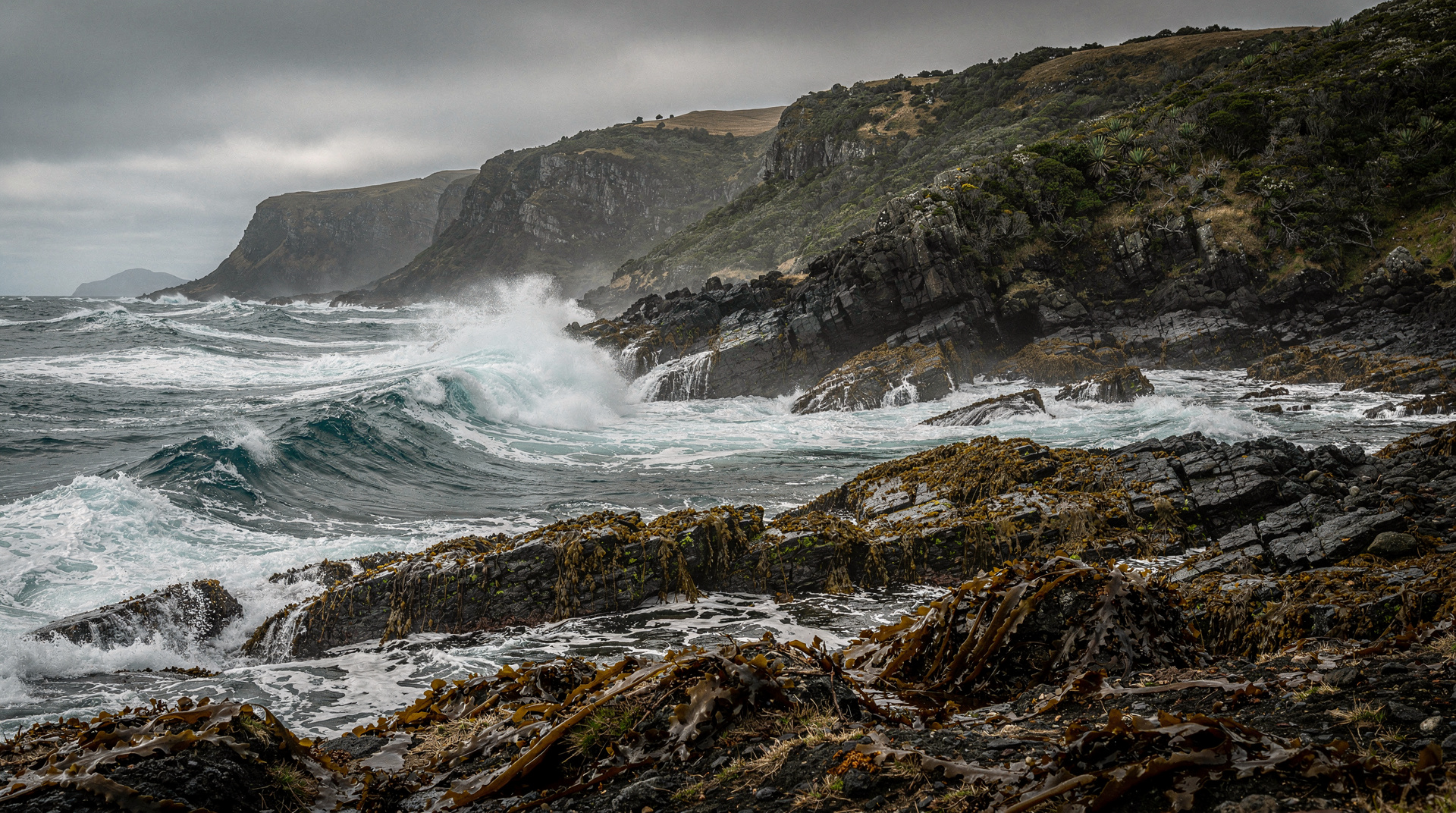 Chatham Islands