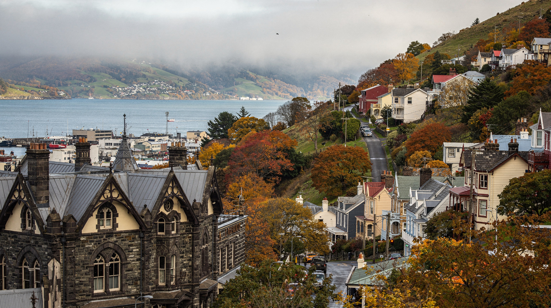 Dunedin