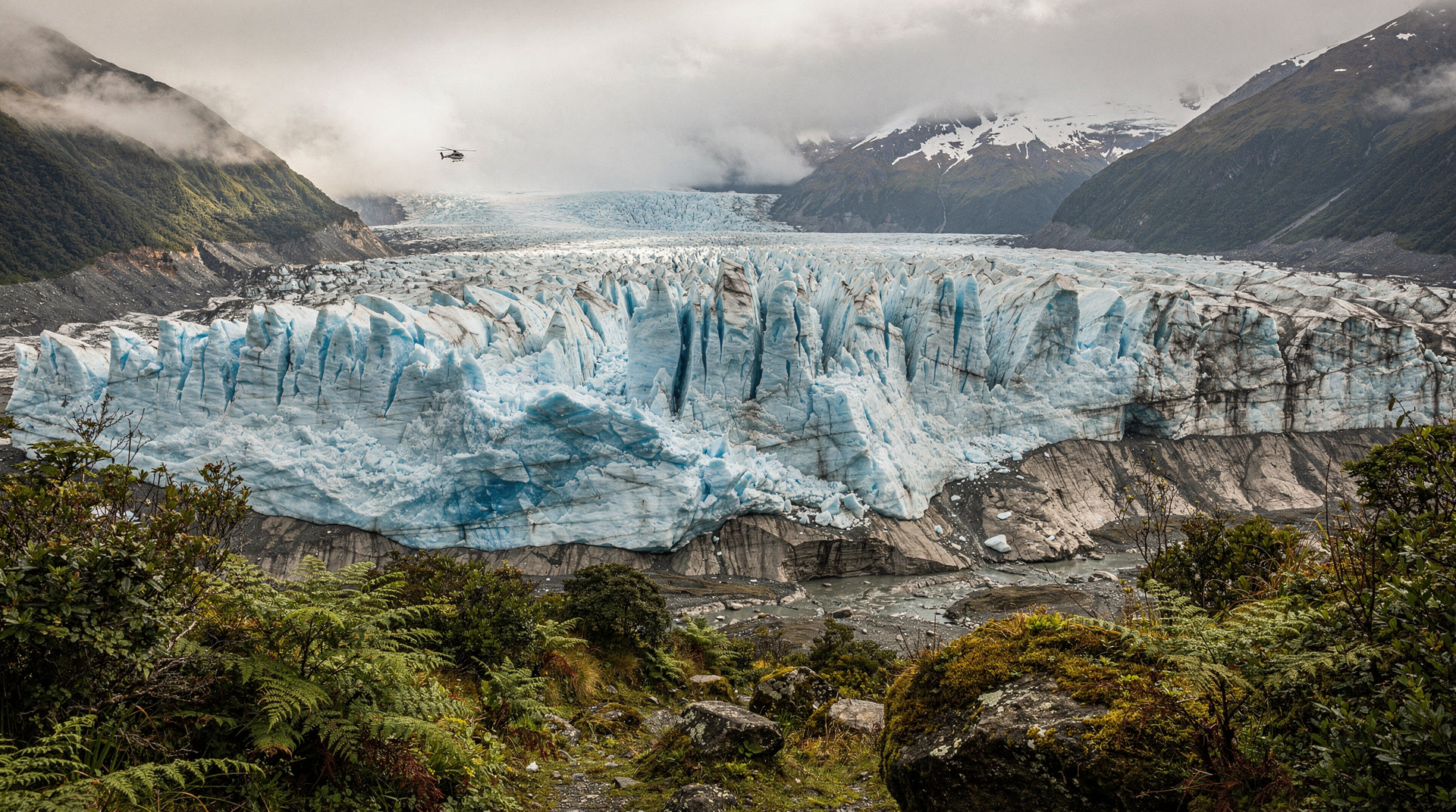 Fox Glacier
