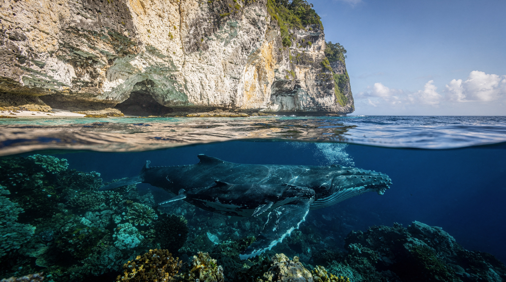 Niue