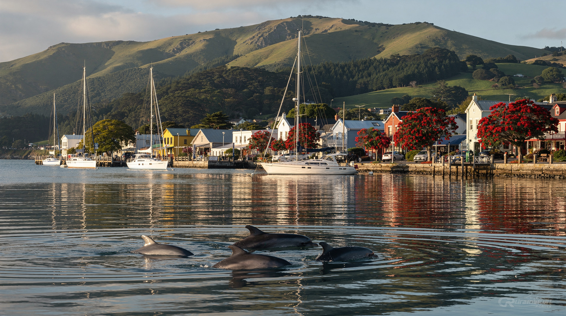 Melhores excursões de um dia a partir de Christchurch