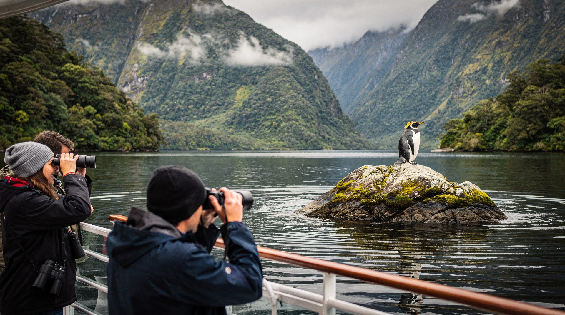 Passeio de dia em Doubtful Sound a partir de Queenstown
