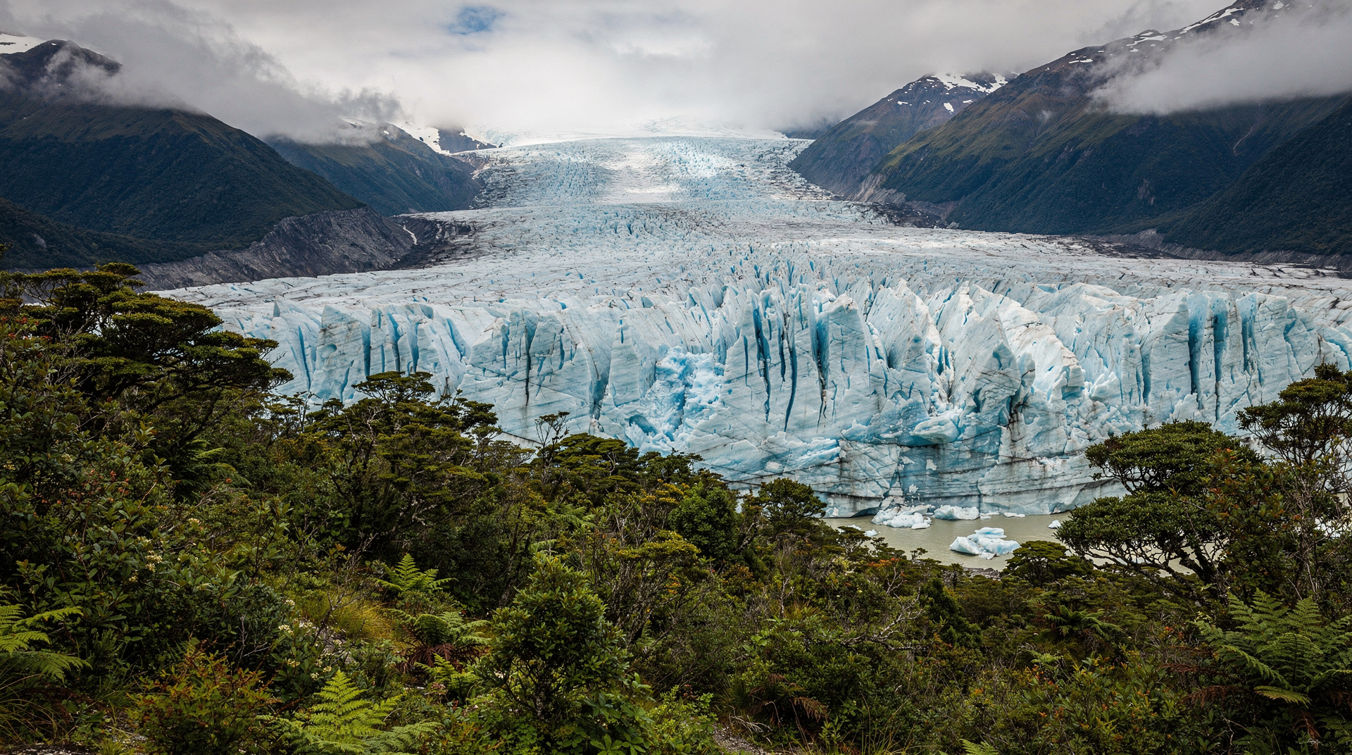 Guia do Fox Glacier — heli-hikes, Lake Matheson e a alternativa mais tranquila