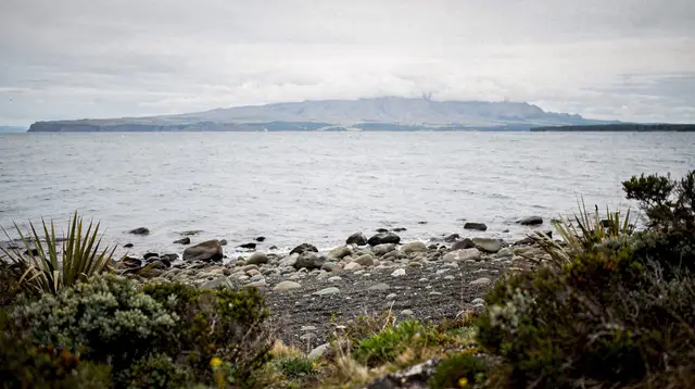 Lake Taupo: cruise van 1,5 uur naar de Maori-rotssculpturen (10:30)