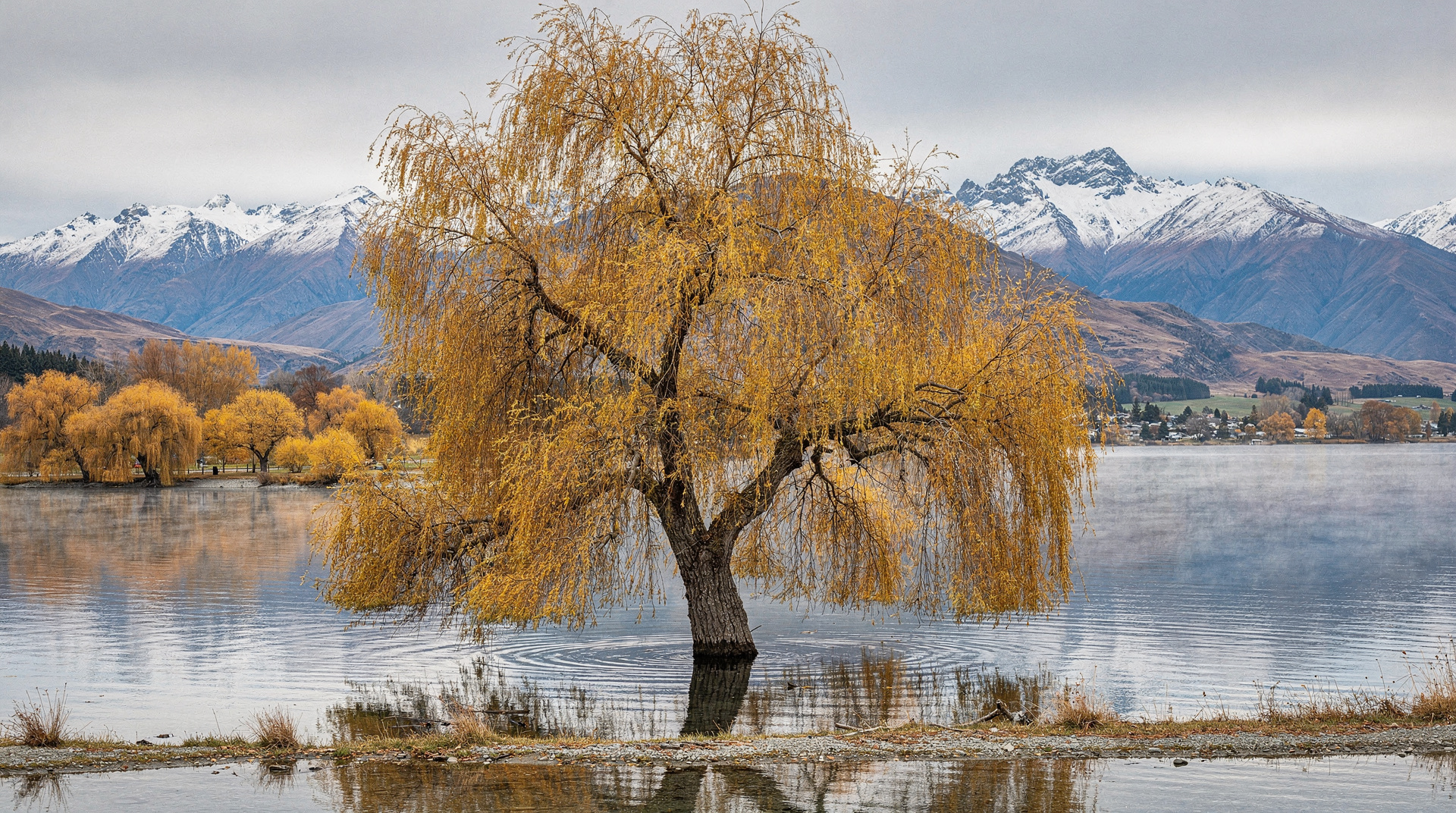 Lake Wanaka — guia do rival mais tranquilo de Queenstown