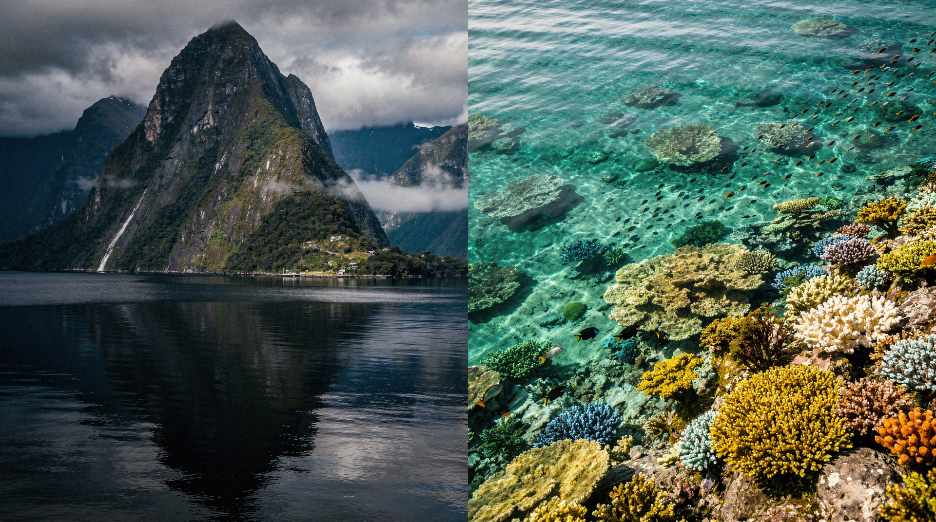 Nova Zelândia vs Austrália — qual visitar primeiro