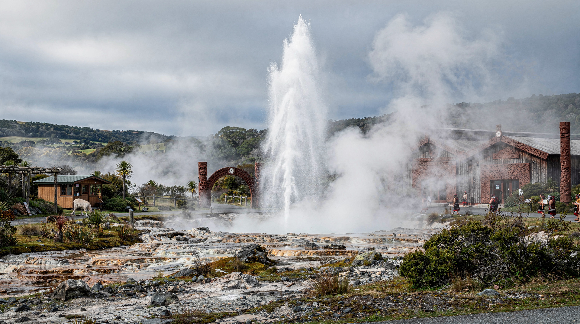 Excursão de dia a Rotorua a partir de Auckland — vale a pena?
