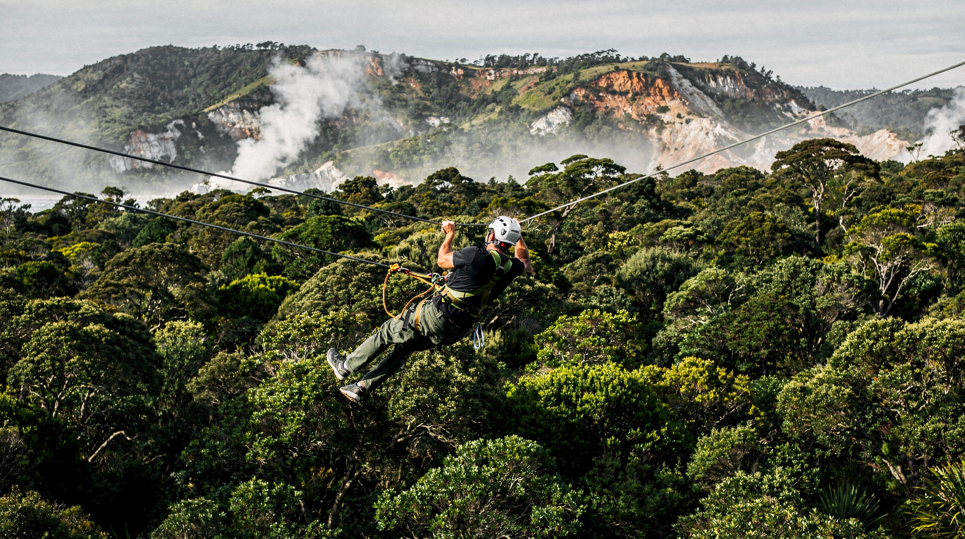 Ziplines em Rotorua — tours de copa através da floresta de sequoias